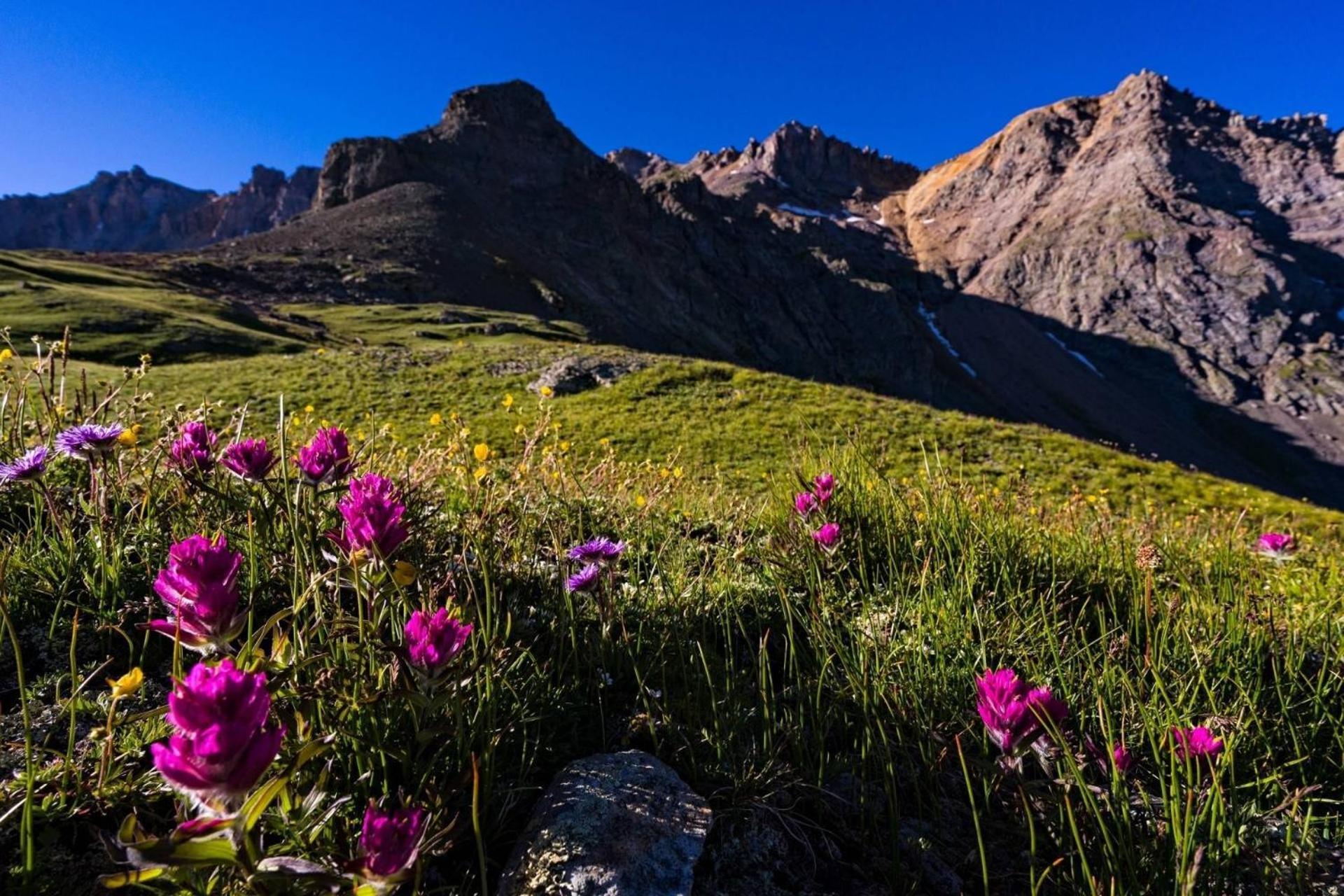 Terraces First Tracks Villa Telluride Bagian luar foto